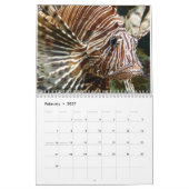 Calendrier Lionfish 2025 (Feb 2027)