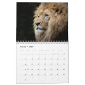 Calendrier Lions Majestic 2026 (Jan 2027)