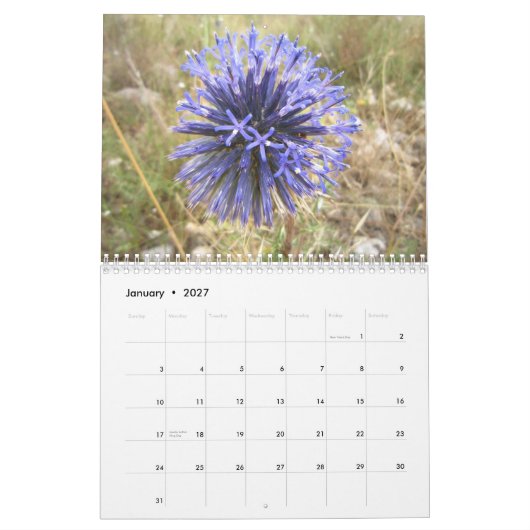 Calendrier l'Israël (Jan 2027)