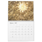 Calendrier l'Israël (Feb 2027)