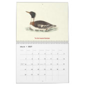 Calendrier Lithographies de canards - de Birds of New York - (Mar 2027)