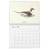 Calendrier Lithographies de canards - de Birds of New York - (Jan 2027)