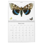 Calendrier Lithographies des papillons et des papillons (Mar 2026)