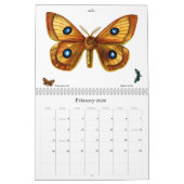 Calendrier Lithographies des papillons et des papillons (Feb 2026)