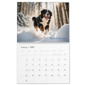 Calendrier Live Like A Bernese 2025 Wall Calendar (Jan 2027)