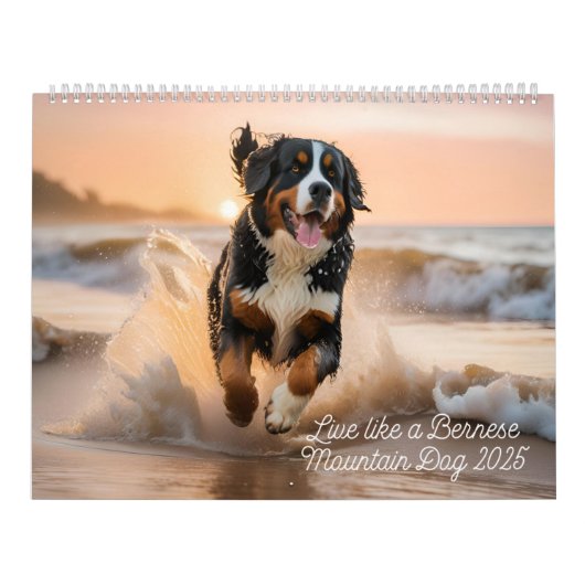 Calendrier Live Like A Bernese 2025 Wall Calendar (Protection)