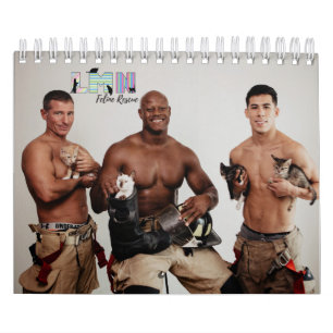 Calendrier LMN Feline Secourt 2021