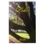 Calendrier Loki 2020 (Protection)