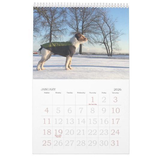 Calendrier Loki 2020 (Jan 2026)