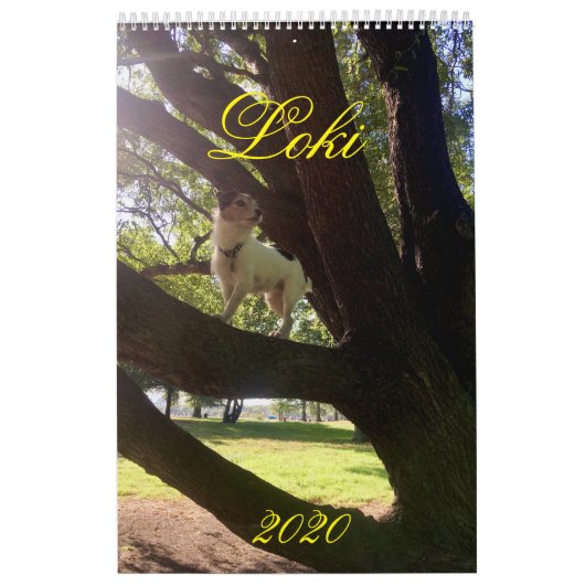Calendrier Loki 2020 (Protection)