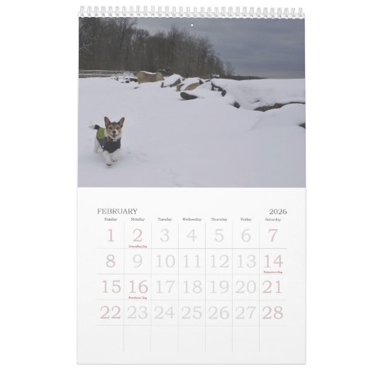 Calendrier Loki 2020 (Feb 2026)