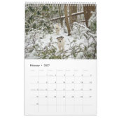 Calendrier Loki 2025 (Feb 2027)