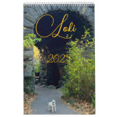 Calendrier Loki 2025 (Protection)