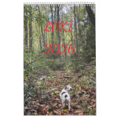 Calendrier loki 2026 (Protection)