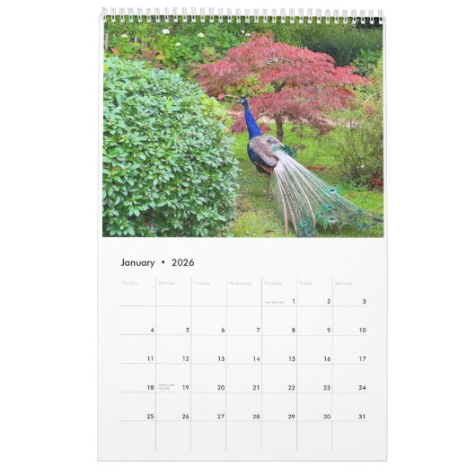 Calendrier London's Hidden Gems - The Magical Kyoto Garden (Jan 2026)