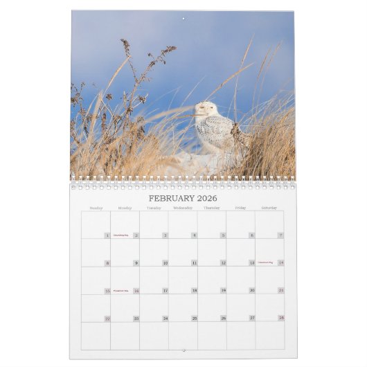 Calendrier Long Island Calendar (Feb 2026)