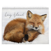 Calendrier Long Island Calendar (Protection)