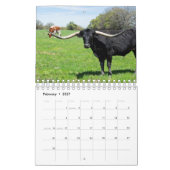 Calendrier Longhorn Cattle Photography (Feb 2027)
