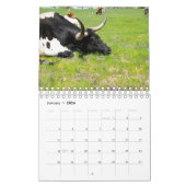 Calendrier Longhorn Cattle Photography (Jan 2026)