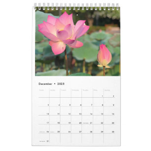 Calendrier Lotus rose