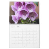 Calendrier Louisa's Garden Manchester, Angleterre (Jan 2027)