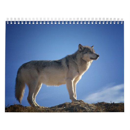 Calendrier Loup, Calendar Wolf (Protection)