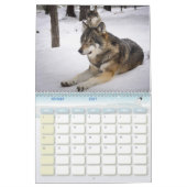 Calendrier Loup, Calendar Wolf (Feb 2027)