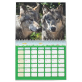 Calendrier Loup, Calendar Wolf (Mar 2027)