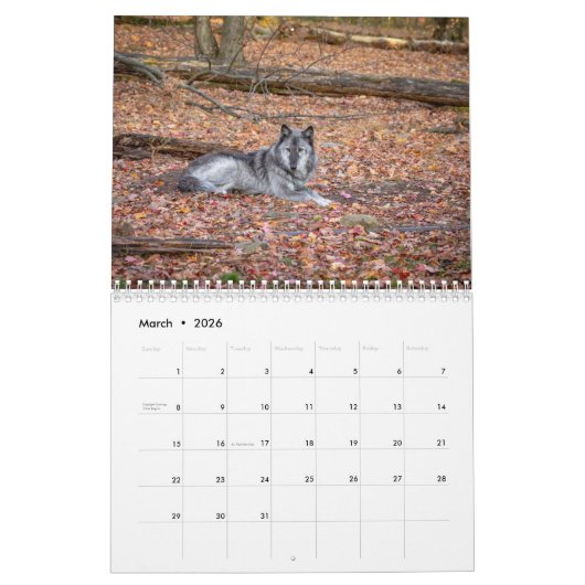 Calendrier Loups à l'automne 2026 (Mar 2026)
