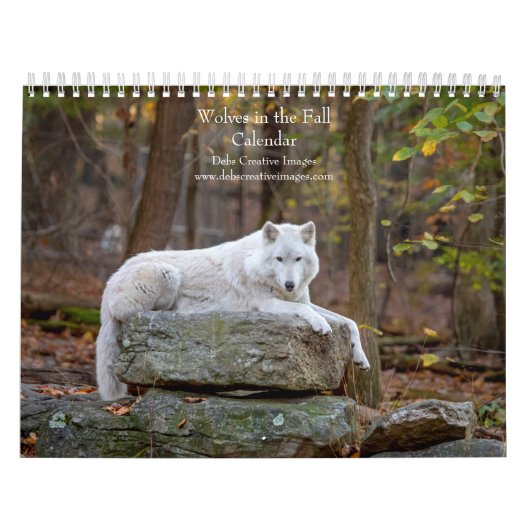 Calendrier Loups à l'automne 2026 (Protection)