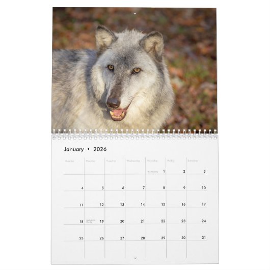 Calendrier Loups à l'automne 2026 (Jan 2026)
