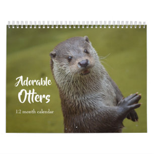 Calendrier Loutres de mer adorables 2025