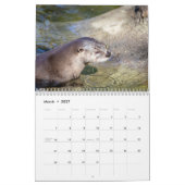 Calendrier Loutres de rivière 2026 (Mar 2027)