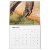Calendrier Loutres de rivière 2026 (Jan 2027)