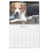 CALENDRIER LOVEMAX 2013 (Mar 2027)