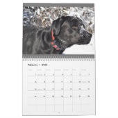 Calendrier LRF 2024 (Feb 2026)