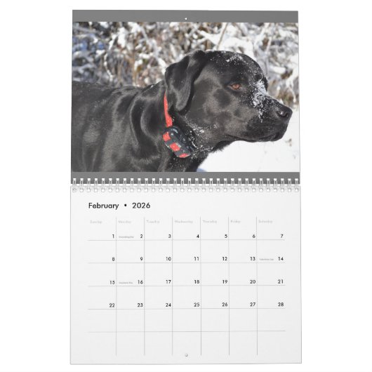 Calendrier LRF 2024 (Feb 2026)