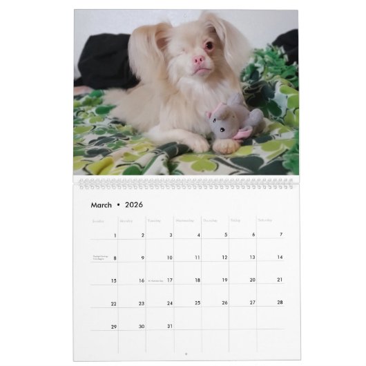 Calendrier Lucky 2020 (Mar 2026)