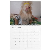 Calendrier Lucky 2020 (Feb 2027)
