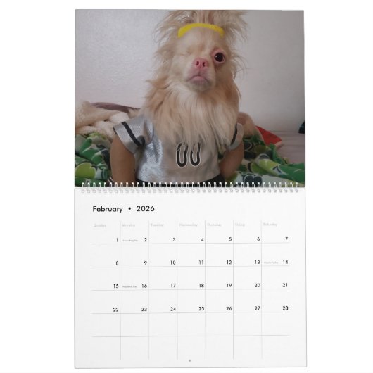 Calendrier Lucky 2020 (Feb 2026)