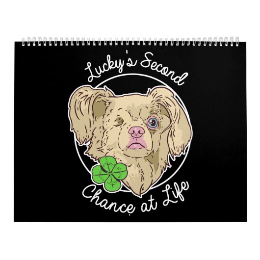 Calendrier Lucky 2020 (Protection)