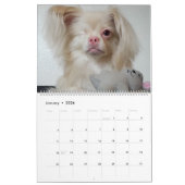 Calendrier Lucky 2020 (Jan 2026)