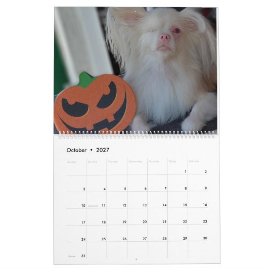 Calendrier Lucky 2020 (Oct 2027)