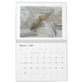 Calendrier - Lures d'eau salée Vintage (Feb 2027)