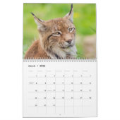 Calendrier Lynx Wildlife (Mar 2026)