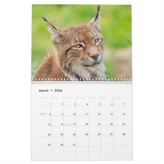 Calendrier Lynx Wildlife (Mar 2026)