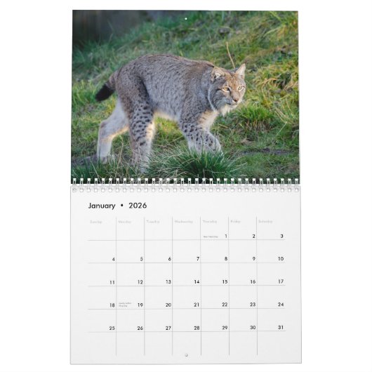 Calendrier Lynx Wildlife (Jan 2026)