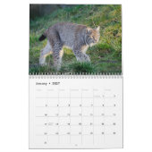 Calendrier Lynx Wildlife (Jan 2027)
