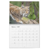 Calendrier Lynx Wildlife (Feb 2027)