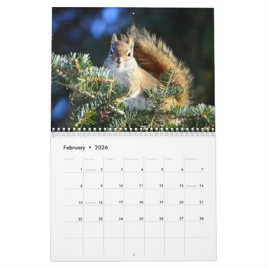 Calendrier M. Bickles Deux Pages Moyenne Blanc (Feb 2026)